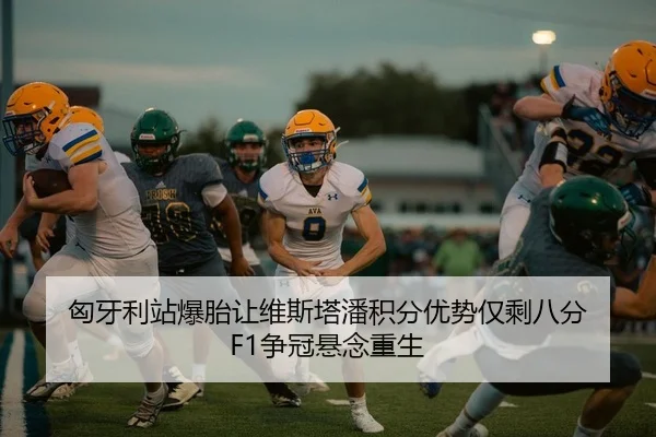 匈牙利站爆胎让维斯塔潘积分优势仅剩八分 F1争冠悬念重生